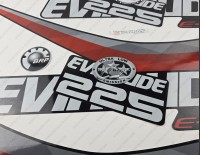 Evinrude 225HP E-tec 2011-2014 Graphite Cowl Outboard Decal Kit